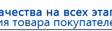 Электроды Скэнар -  двойной овал 55х90 мм купить в Чайковском, Электроды Скэнар купить в Чайковском, Дэнас официальный сайт denasolm.ru