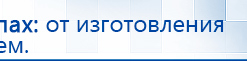 Прибор Дэнас ПКМ купить в Чайковском, Аппараты Дэнас купить в Чайковском, Дэнас официальный сайт denasolm.ru